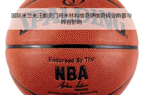 国际米兰关注都灵门将米林科维奇萨维奇转会前景与阵容影响